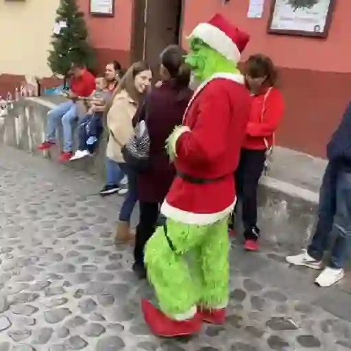  El Grinch ✨💚(tiktok)