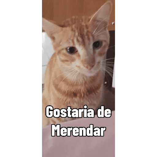Border 15