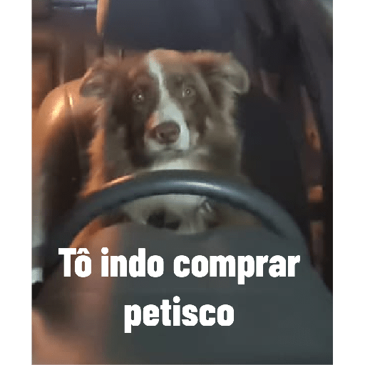 Border 6