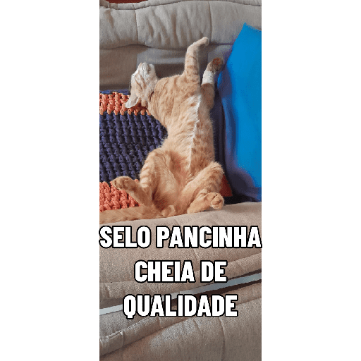 Border 12