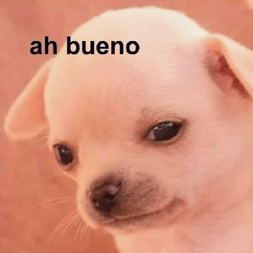 Gatitossx2 23