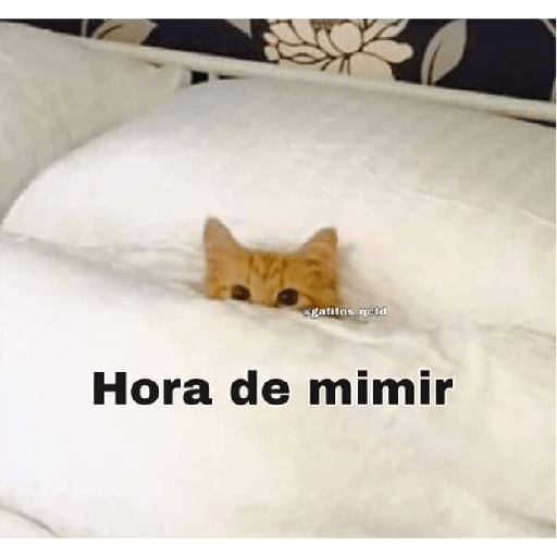 Gatitossx2 8