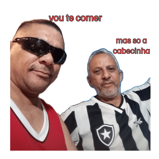 Minhas figurinhas 8