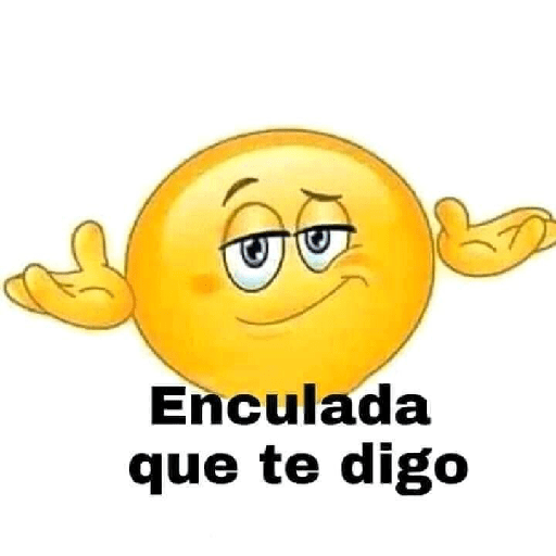 BOLAMARILLA y + 12
