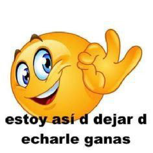BOLAMARILLA y + 17