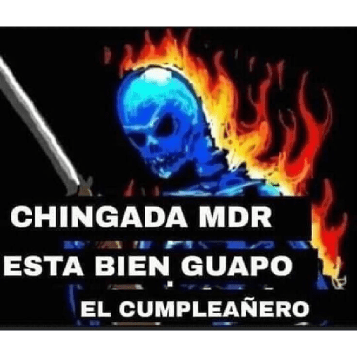 BOLAMARILLA y + 16