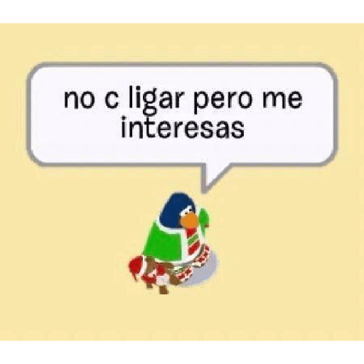 BOLAMARILLA y + 26