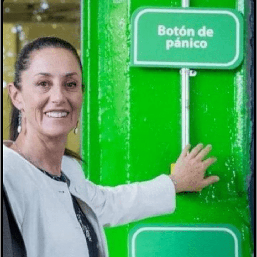 BOLAMARILLA y + 13