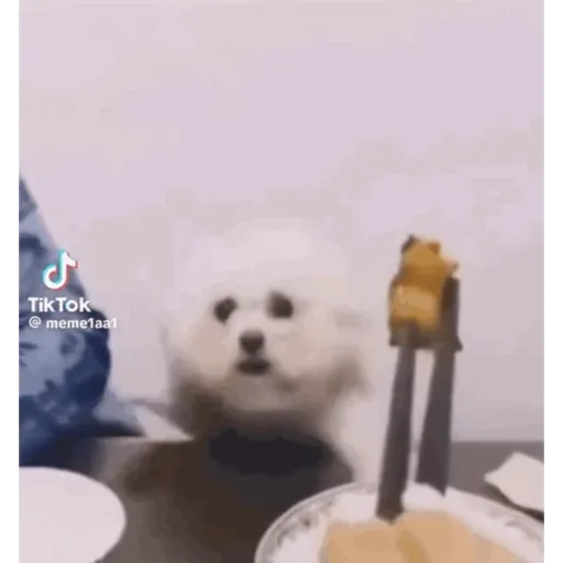 Carreta 4