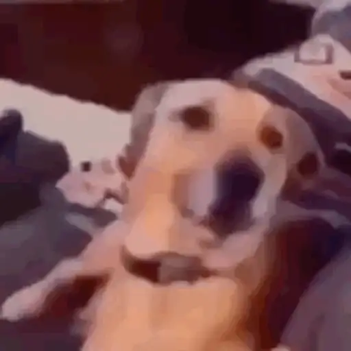 Carreta 8