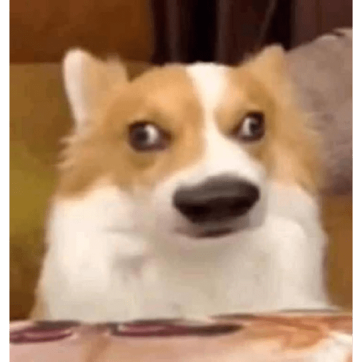 Uh?