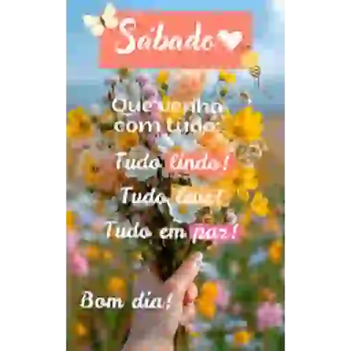 Gininharocha🌻 7