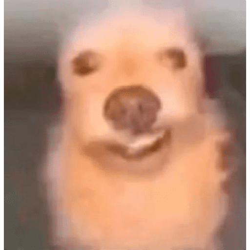MEME18 18