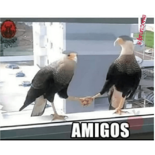 Modo machista 24