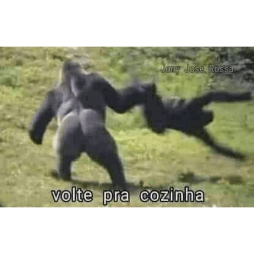 Modo machista 8