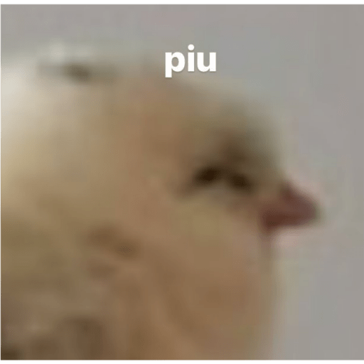 Modo machista 28