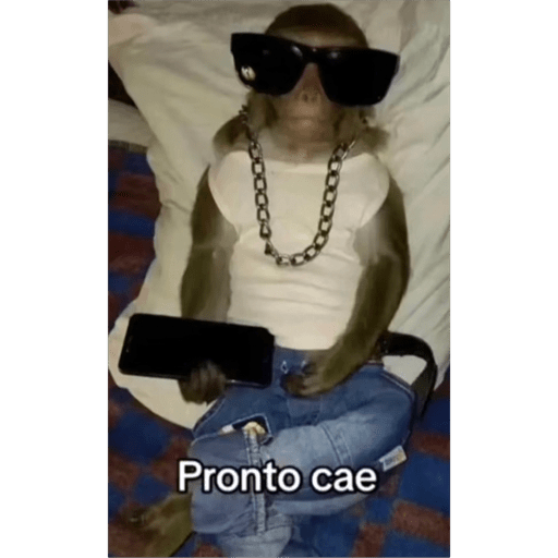XD PERU 10