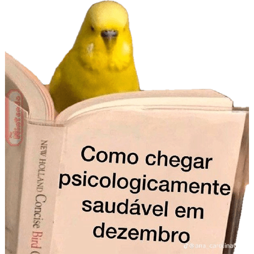 FRASES 🗣️ VAI FALA AÍ  6