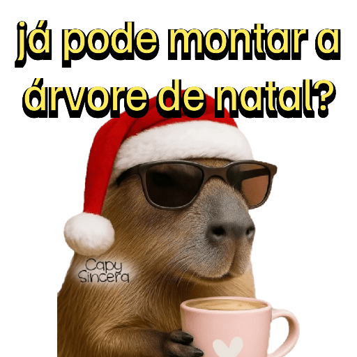 FRASES 🗣️ VAI FALA AÍ  11