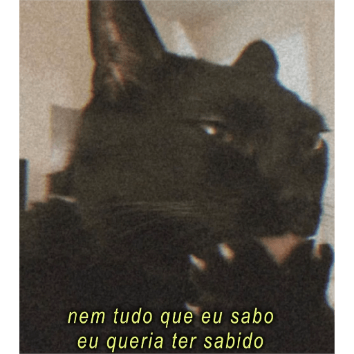 FRASES 🗣️ VAI FALA AÍ  12