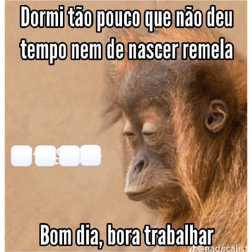 FRASES 🗣️ VAI FALA AÍ  13