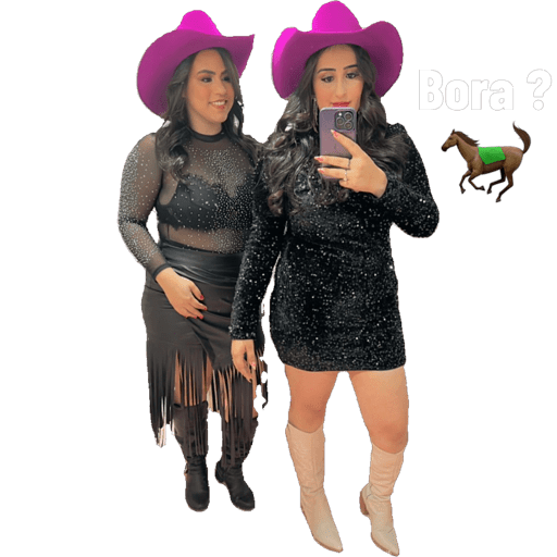 Minhas figurinhas