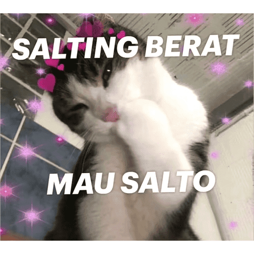 Baru 13