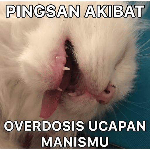 Baru 18