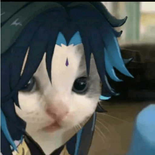 Meme genshin impact  4