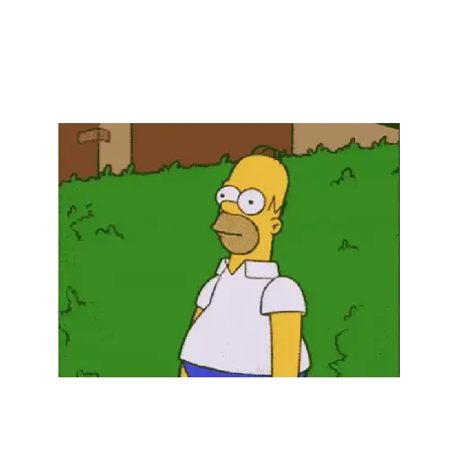 Simpsons 1