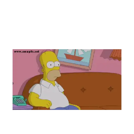 Simpsons 12