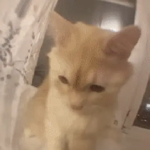 Bububuuuu 2