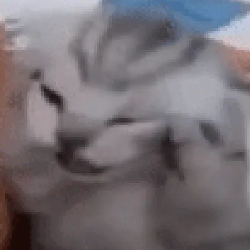 Bububuuuu 1