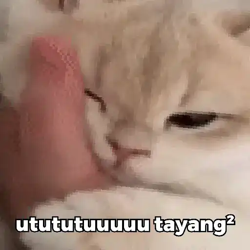 Bububuuuu 3