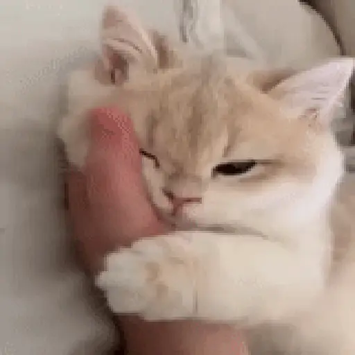 Bububuuuu 4