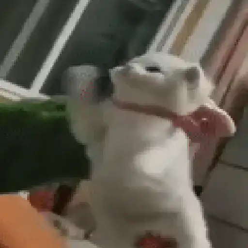 Bububuuuu 5