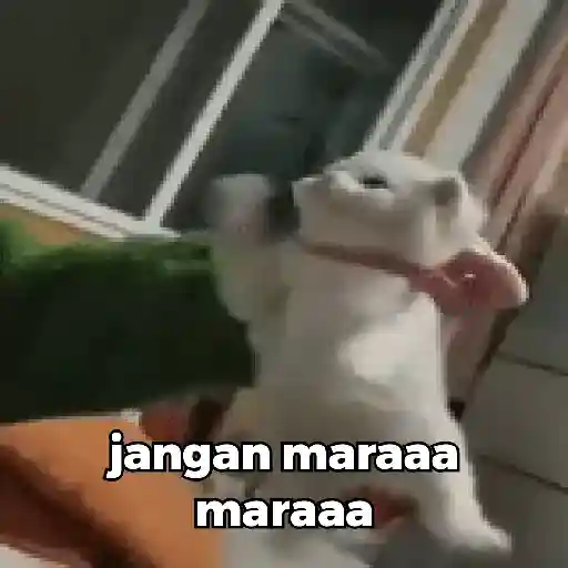 Bububuuuu 7