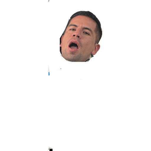 Ssppll 10
