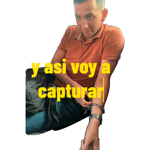 Ssppll 13