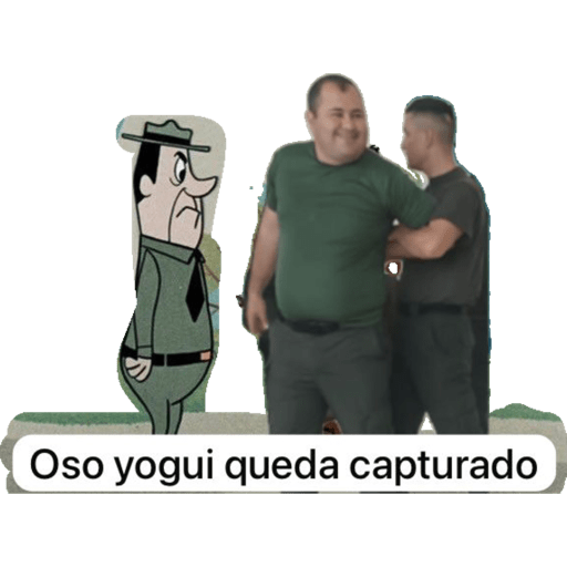 Ssppll 29