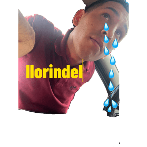 Ssppll 11