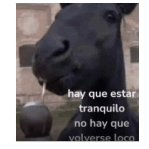 Lerolorelorey 23