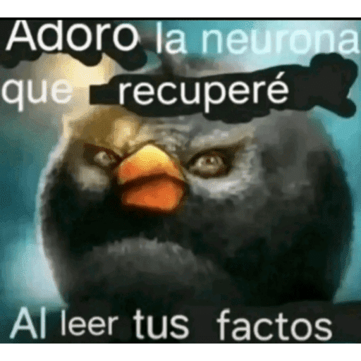 Lerolorelorey 13