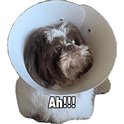 Sticker 4