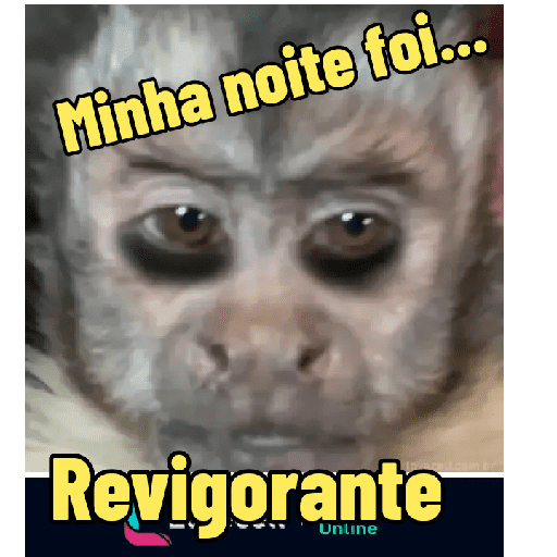Minhas figurinhas 16