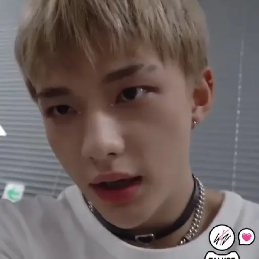 【렉스】 ⃘𑵅 hyunjin 🧺❟ 17