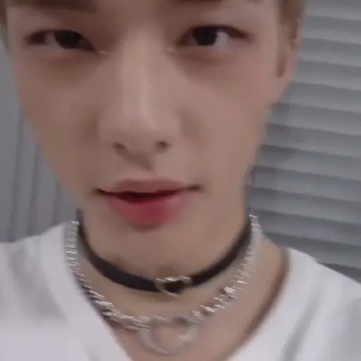 【렉스】 ⃘𑵅 hyunjin 🧺❟ 16