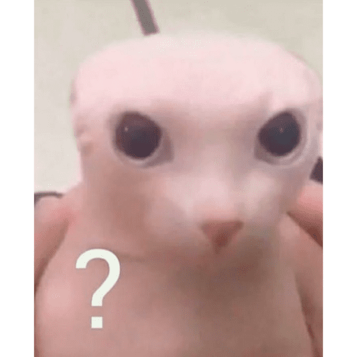 Meow 10
