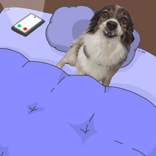 Meus pets são doidos 18