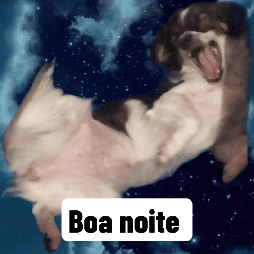 Meus pets são doidos 8